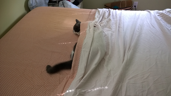 My girl Rita helping make the bed